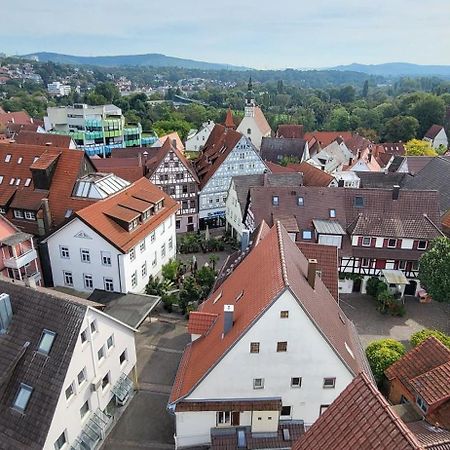 ☆ Gemuetliches Apartment In Der Naehe Von Stuttgart Βάιμπλινγκεν Εξωτερικό φωτογραφία